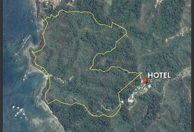 Rare Opportunity to own a piece of Paradise! Finca Caletas is a - photo 4