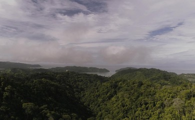 Rare Opportunity to own a piece of Paradise! Finca Caletas is a - photo 6