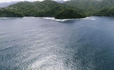 Rare Opportunity to own a piece of Paradise! Finca Caletas is a - photo 9
