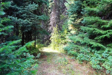 Lake Lot For Sale in Donnelly, Idaho
