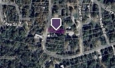 Lake Lot For Sale in Hawk Cove, Texas