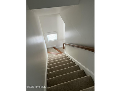 Welcome to 29 Tyner Drive in Elizabethtown, NC -- a beautifully - photo 22