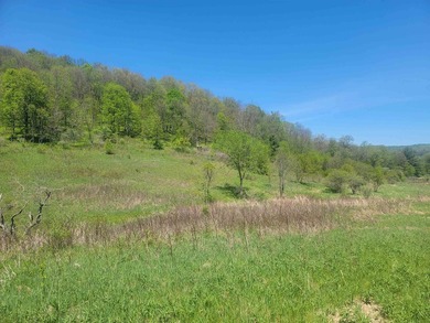 30 acres of scenic pasture and wooded land featuring a - photo 47
