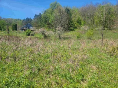 30 acres of scenic pasture and wooded land featuring a - photo 48