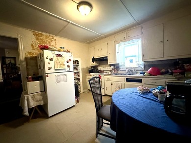 Here is your opportunity to own a versatile property in the - photo 5