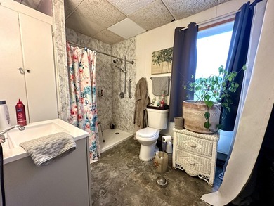 Here is your opportunity to own a versatile property in the - photo 7