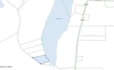 Lake Acreage For Sale in Starrucca, Pennsylvania