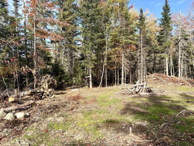 Boyden Lake Lot For Sale in Perry Maine
