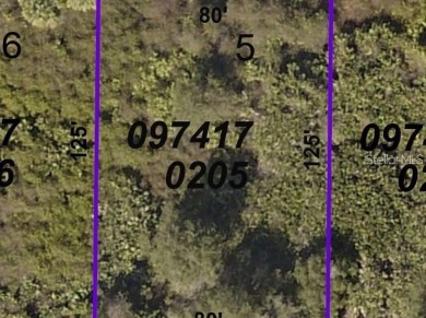 Two side-by-side available lots on a quiet street in North Port - photo 2
