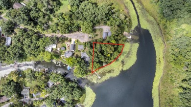 Lake Lot For Sale in Onsted, Michigan