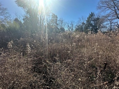 Property consists of 2 lots totaling .68 acres on N Jefferson St - photo 11