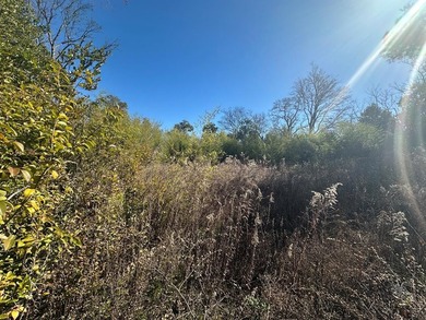 Property consists of 2 lots totaling .68 acres on N Jefferson St - photo 12