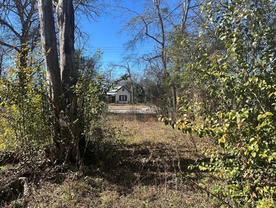 Property consists of 2 lots totaling .68 acres on N Jefferson St - photo 13
