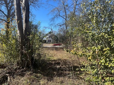 Property consists of 2 lots totaling .68 acres on N Jefferson St - photo 14