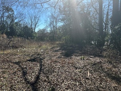 Property consists of 2 lots totaling .68 acres on N Jefferson St - photo 15