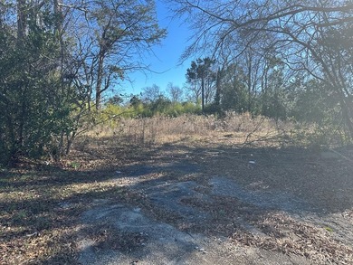 Property consists of 2 lots totaling .68 acres on N Jefferson St - photo 17