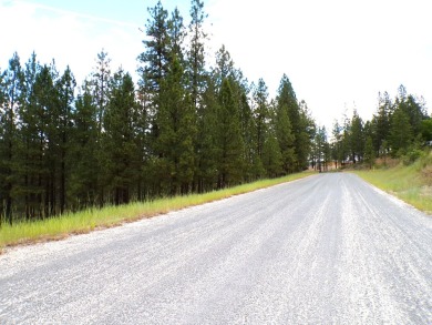 Lake Lot For Sale in Kettle Falls, Washington