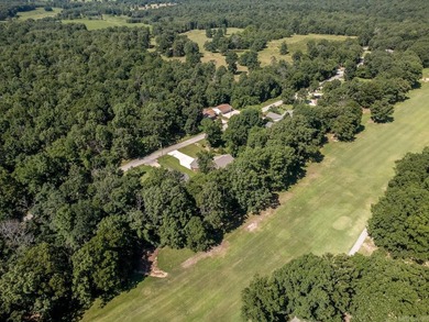 Welcome to Market 59 Tohatchi Dr. in Cherokee Village, AR - photo 42