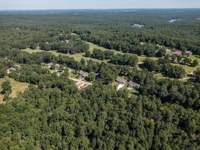 Welcome to Market 59 Tohatchi Dr. in Cherokee Village, AR - photo 47