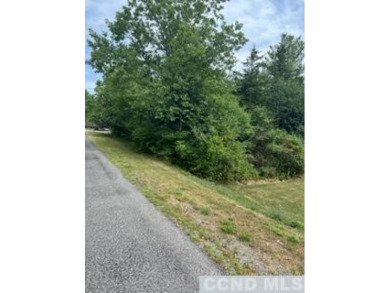 Lake Lot For Sale in Athens, New York
