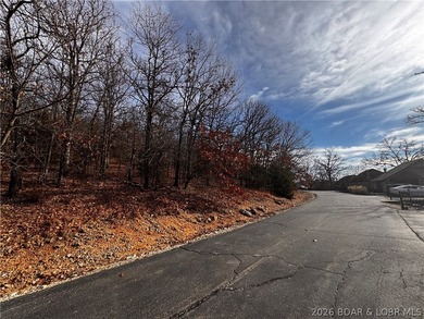 This Southern facing parcel is a very rare find at Lake of the - photo 11