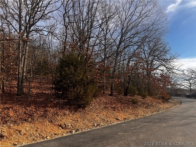 This Southern facing parcel is a very rare find at Lake of the - photo 14