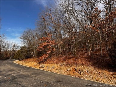 This Southern facing parcel is a very rare find at Lake of the - photo 15