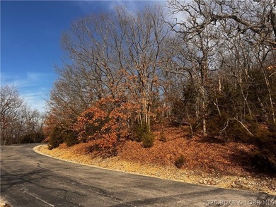 This Southern facing parcel is a very rare find at Lake of the - photo 16