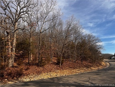 This Southern facing parcel is a very rare find at Lake of the - photo 17