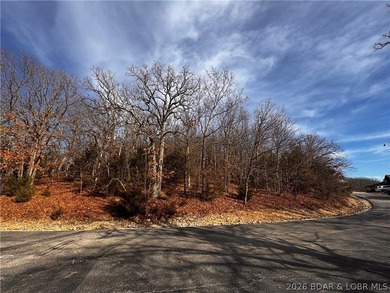This Southern facing parcel is a very rare find at Lake of the - photo 18