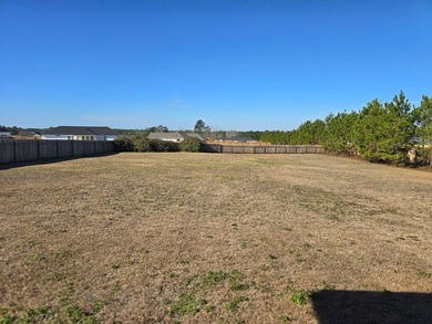 Amazing condition for this 4 bed / 2 bath open floorplan home - photo 19