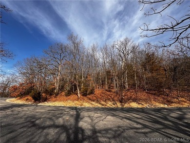 This Southern facing parcel is a very rare find at Lake of the - photo 20