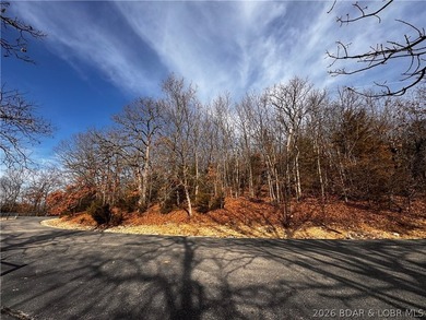 This Southern facing parcel is a very rare find at Lake of the - photo 21