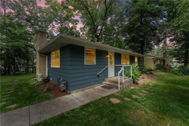 Lake Home For Sale in Linwood Twp, Minnesota