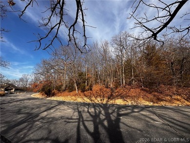 This Southern facing parcel is a very rare find at Lake of the - photo 22