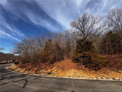 This Southern facing parcel is a very rare find at Lake of the - photo 24
