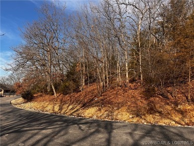 This Southern facing parcel is a very rare find at Lake of the - photo 27