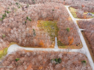 Lake Acreage For Sale in Equinunk, Pennsylvania