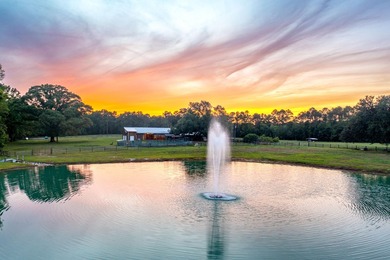 Welcome to a truly exceptional 42.3+/- acre gated estate and - photo 35