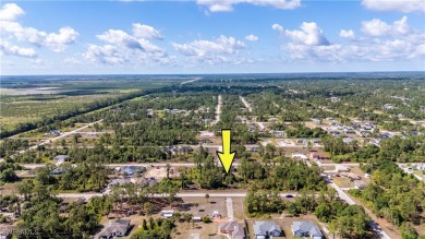 Lehigh Acres Area Lot For Sale in Lehigh Acres Florida