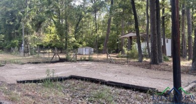 Lake O The Pines Lot For Sale in Avinger Texas