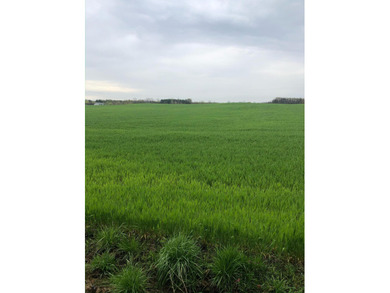 Buckeye Lake Acreage For Sale in Thornville Ohio