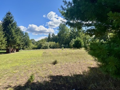 Lake Lot For Sale in Canadian Lakes, Michigan