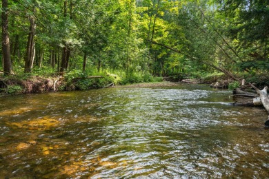 Lake Acreage For Sale in East Jordan, Michigan