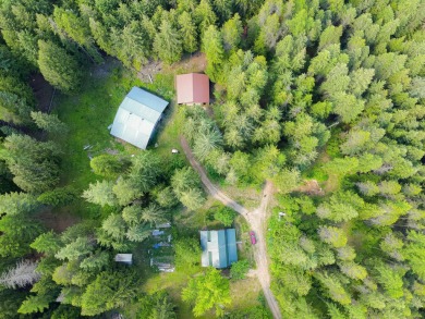 (private lake, pond, creek) Home For Sale in Cusick Washington