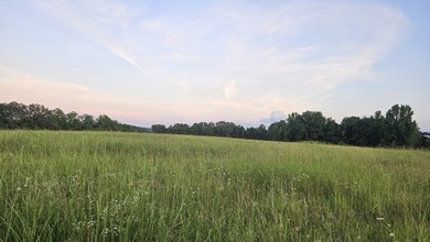 Buffalo River Acreage For Sale in Saint Joe Arkansas