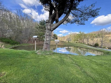 Here you go! 3 BR, 1 BA older home has a newer forced-air - photo 17
