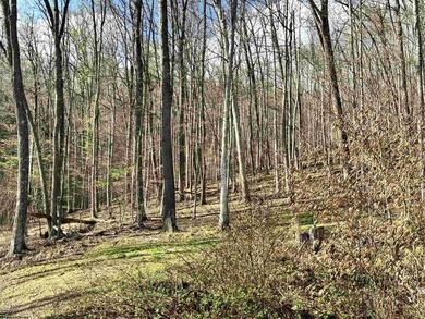 Here you go! 3 BR, 1 BA older home has a newer forced-air - photo 22