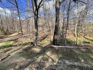 Here you go! 3 BR, 1 BA older home has a newer forced-air - photo 24