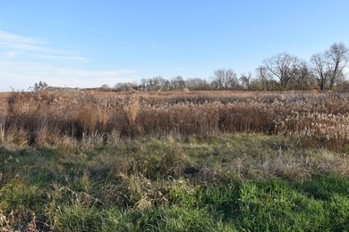 Buckeye Lake Acreage For Sale in Thornville Ohio